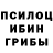 Галлюциногенные грибы Cubensis ImmaCatXx