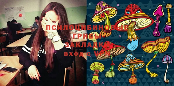 спиды Верхний Тагил