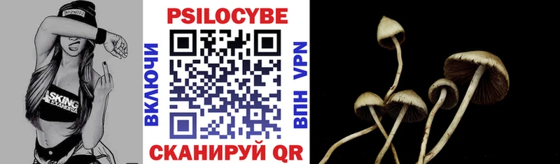Галлюциногенные грибы Magic Shrooms  Новоульяновск 